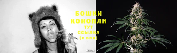 эйфоретик Белокуриха