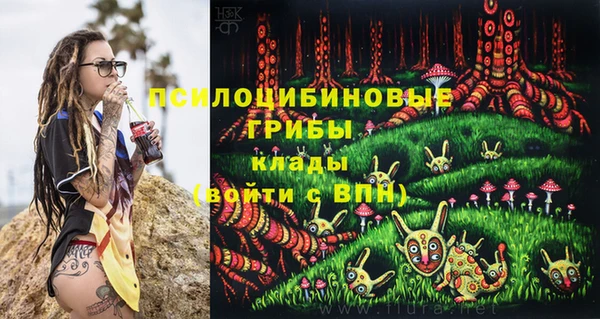 эйфоретик Белокуриха