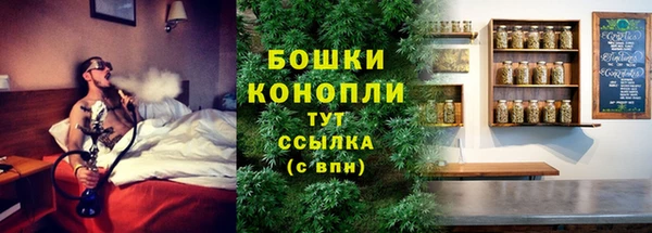 эйфоретик Белокуриха