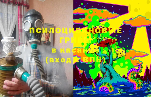 эйфоретик Белокуриха