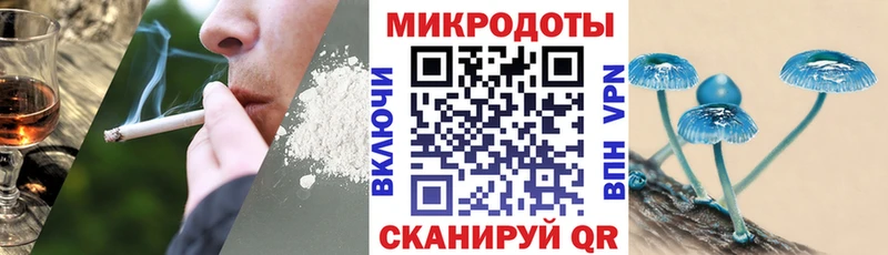 цена   Онега  Галлюциногенные грибы ЛСД 