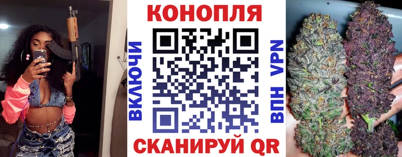 Марихуана семена  Онега 